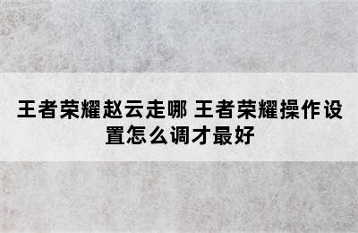 王者荣耀赵云走哪 王者荣耀操作设置怎么调才最好